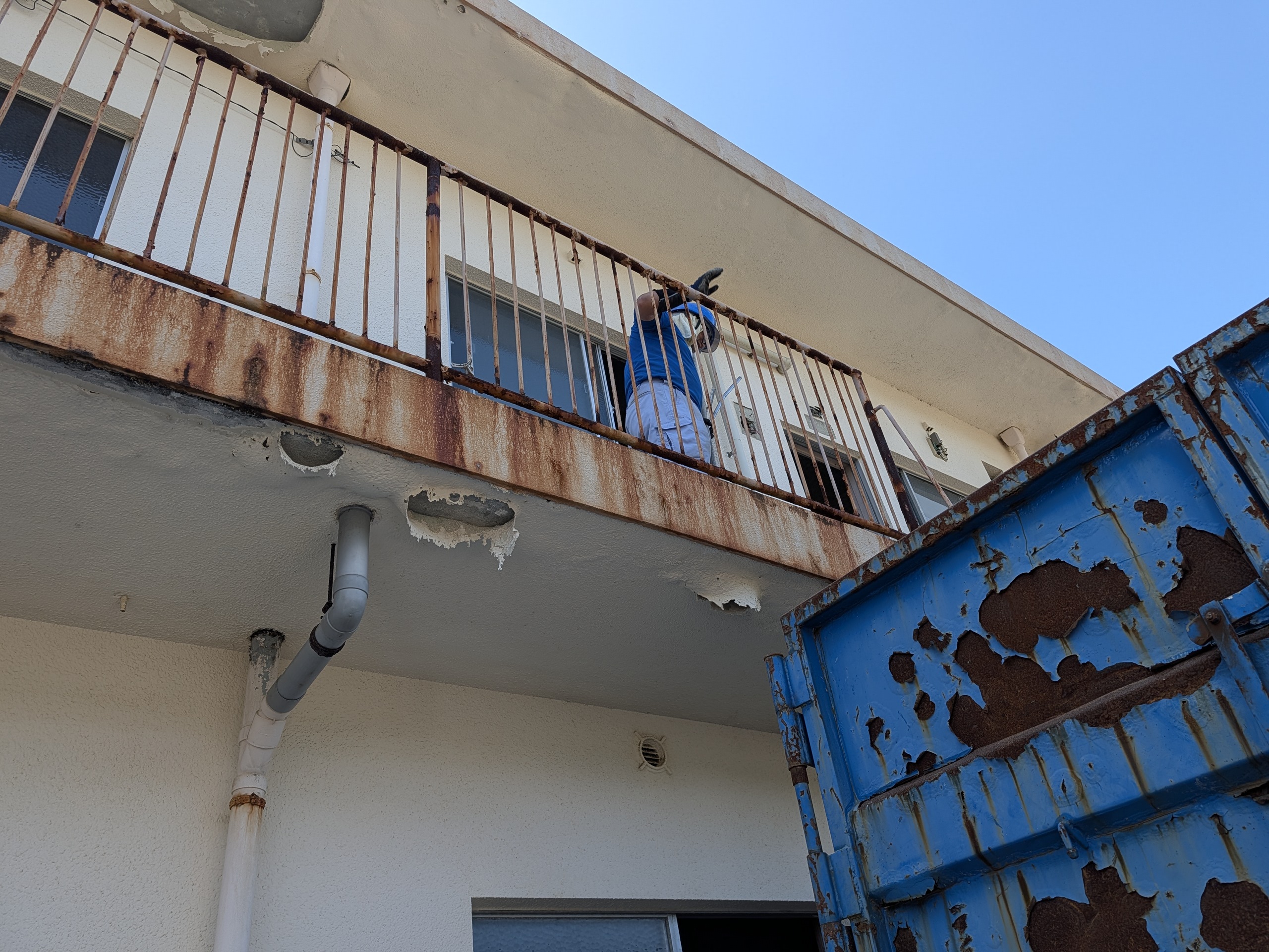 若手社員の写真